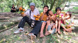 Về Miền Tây tham gia Tour du lịch homestay Miền Tây hấp dẫn