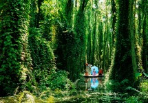 Tour Du Lịch 7 Tỉnh Miền Tây Nam Bộ 5 Ngày 4 Đêm 