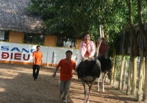 Tour Miền Tây 1 Ngày (Chợ Nổi Cái Bè - Kdl Vinh Sang )