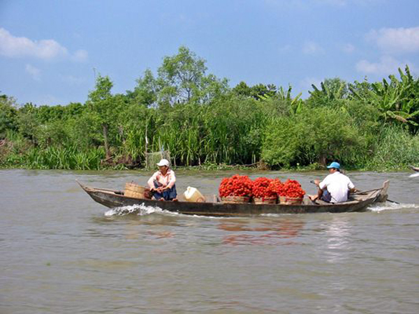 Có những điều rất đỗi bình thường với người dân miền Tây lại là điều hết sức đặc biệt đối với du khác