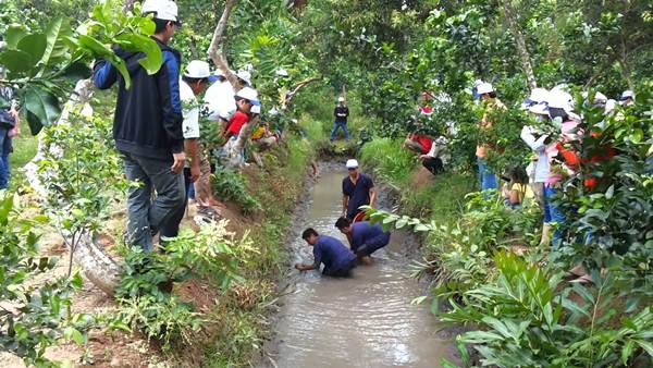 Tát mương bắt cá, một trải nghiệm rất thú vị khi đi du lịch miền Tây mùa hè