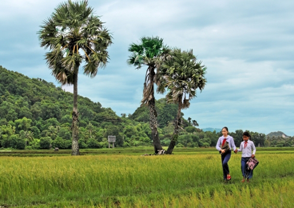 Một góc thanh bình ở làng quê miền Tây Nam Bộ