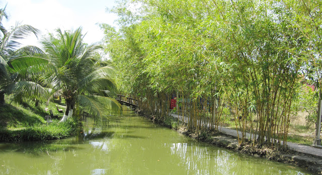 Khám phá Củ Chi trong hành trình Tour du lịch Hà Nội Sài Gòn miền Tây Củ Chi 5 ngày 
